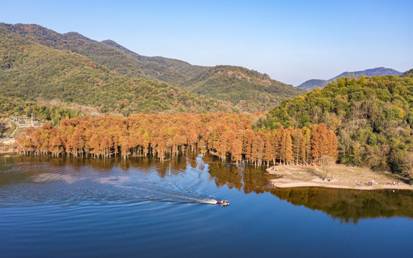 DJI_0730