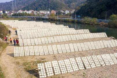DJI_0580
